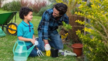 Frühjahrs- und Herbstreinigung im Garten